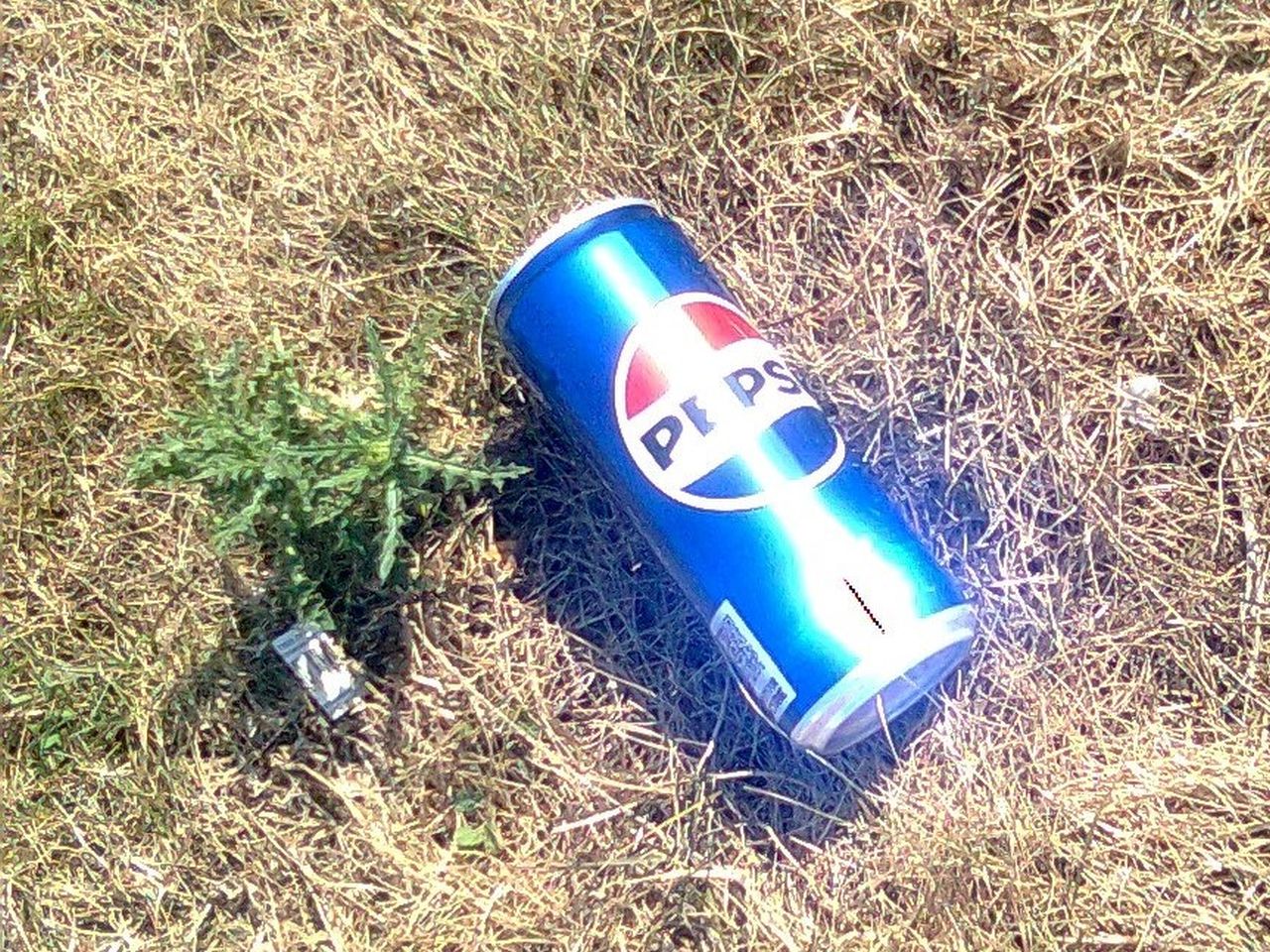 Abfallproblematik - Dose Pepsi im Wald, Wienerwaldmuseum Eichgraben (© Dr. Michael Götzinger)